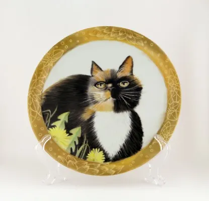 חתול (קצת כועס..) בעיטור מיוחד